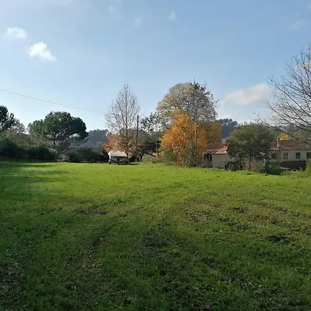 Casa De Andraes - Glicineas *