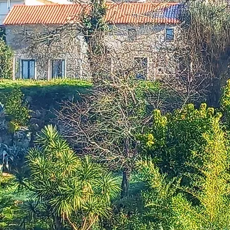 Casa De Andraes - Glicineas Marco de Canavezes