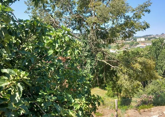 Casa De Andraes - Glicineas * Marco de Canavezes